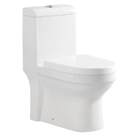 CT-102ss One-piece Toilet