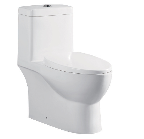 CT-109ss One-piece Toilet