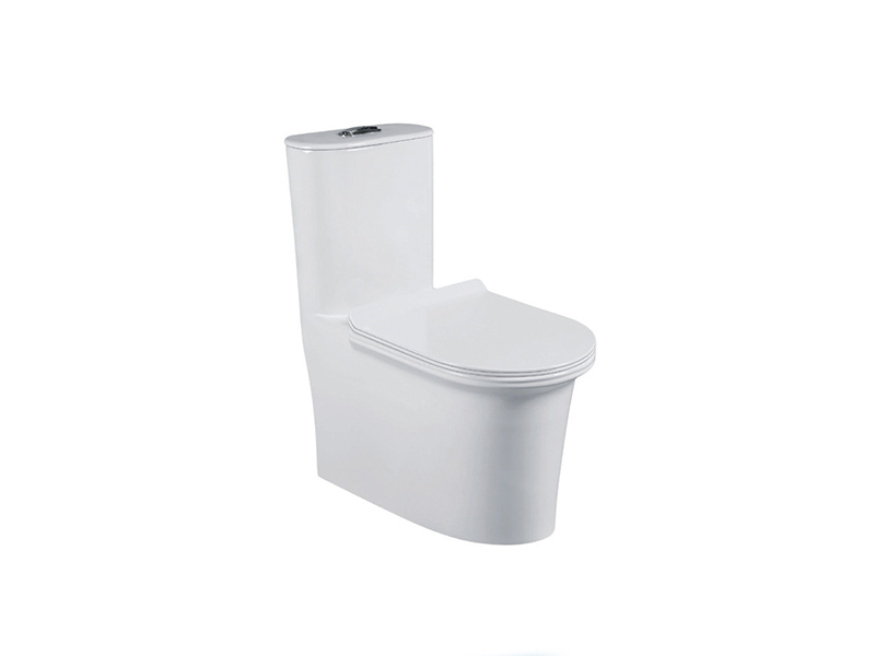CT-118SS One-piece Toilet