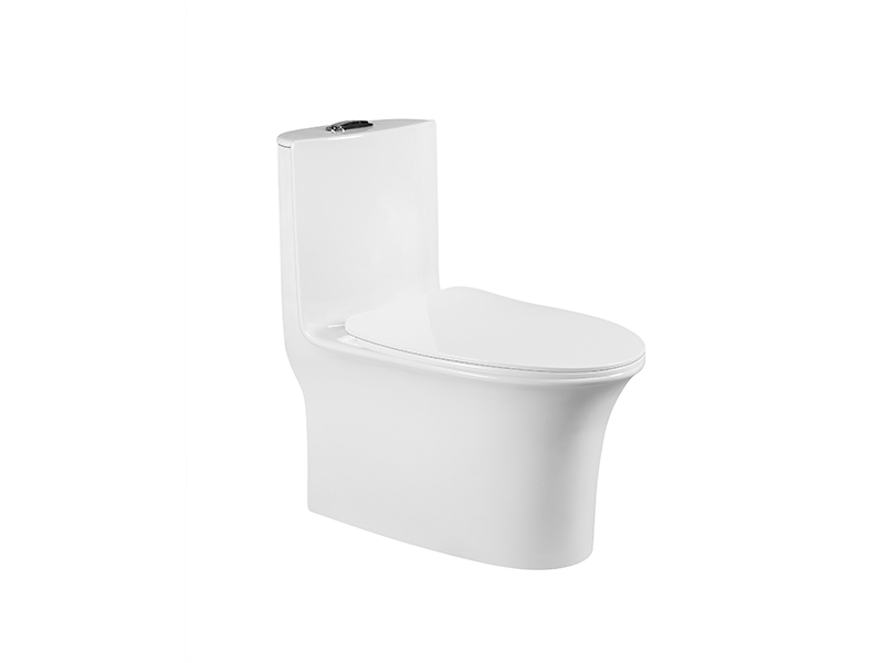 CT-119SS One-piece Toilet