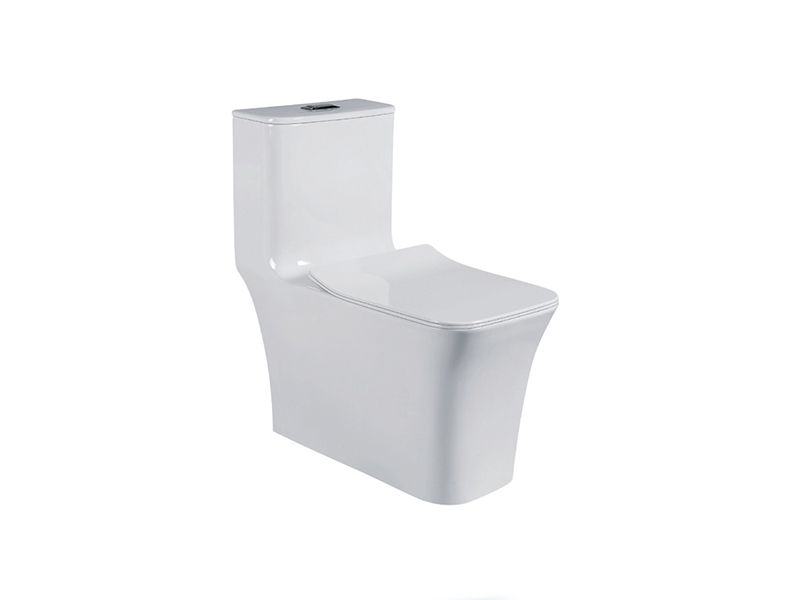 CT-120ss One-piece Toilet