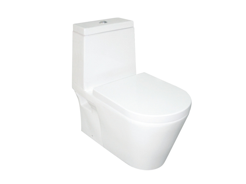 CTM-101WS One piece toilet