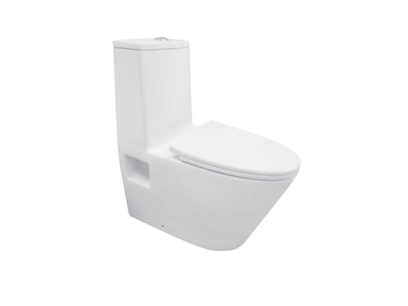 CTM-102WS One piece toilet